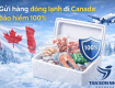 Gửi hàng đông lạnh đi Canada bảo hiểm 100%