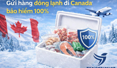 Gửi hàng đông lạnh đi Canada bảo hiểm 100%