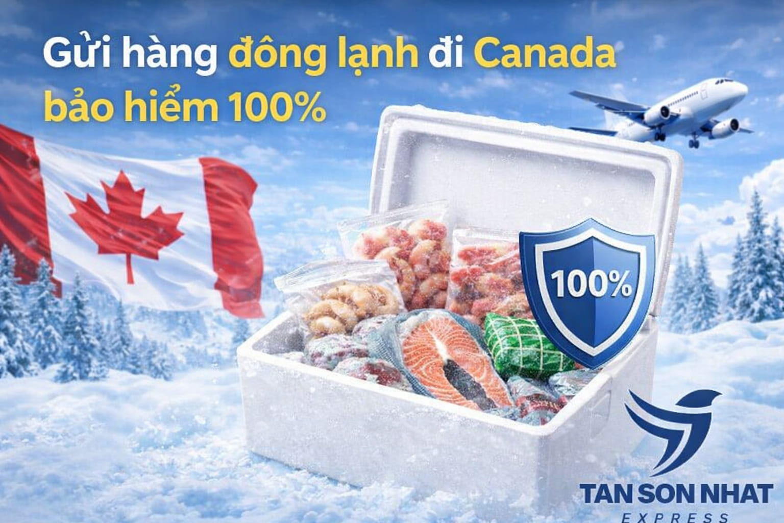 Gửi hàng đông lạnh đi Canada bảo hiểm 100%.